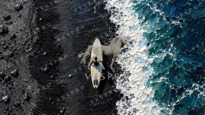 Surfboard on Black Sand, oil painting wallpaper